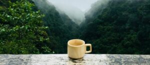 Ultimate Coffee Experience